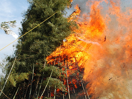 日本の里 Pilot Marketing